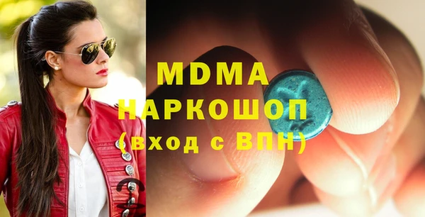 индика Каменка