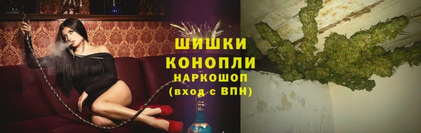 сатива Каменногорск