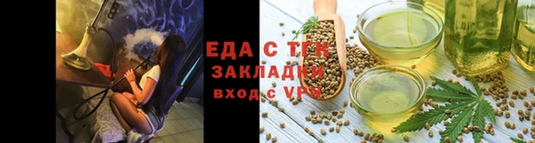 индика Каменка