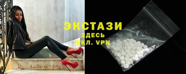 индика Каменка