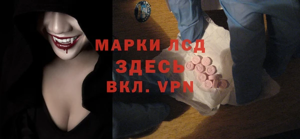 индика Каменка