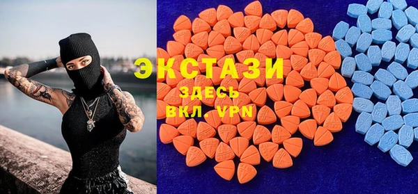 индика Каменка