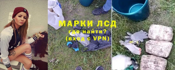индика Каменка