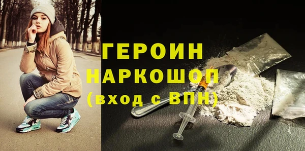 индика Каменка