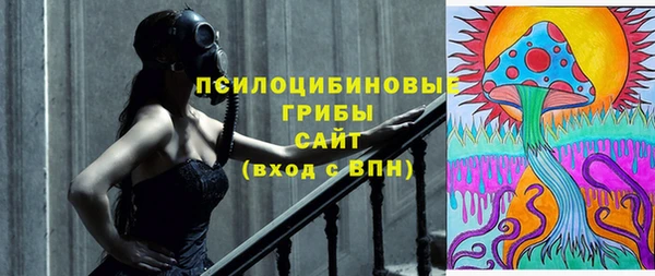индика Каменка