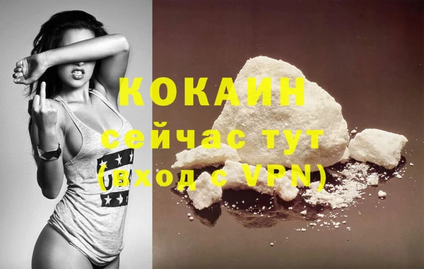 индика Каменка