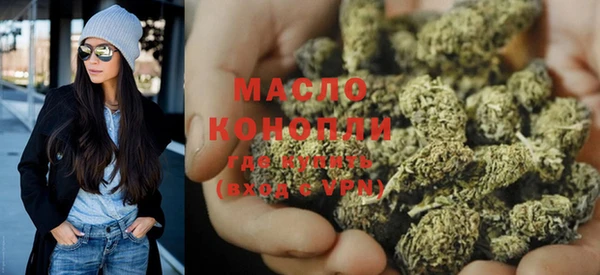индика Каменка