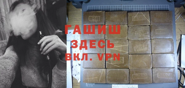индика Каменка