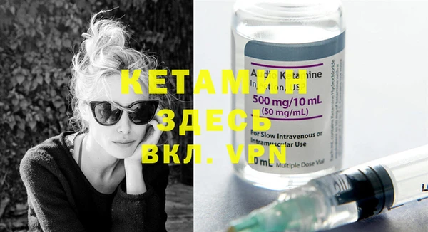 индика Каменка