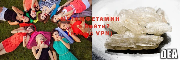 индика Каменка