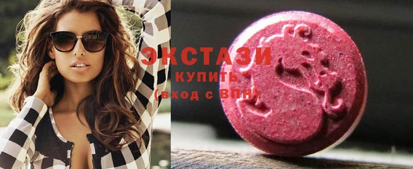 индика Каменка