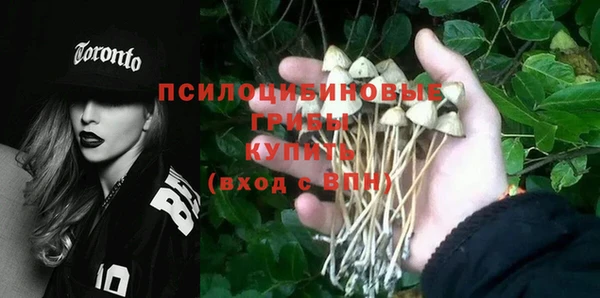 индика Каменка