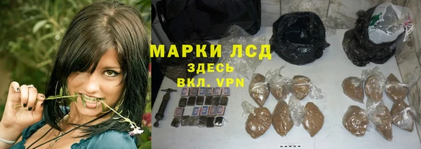 индика Каменка
