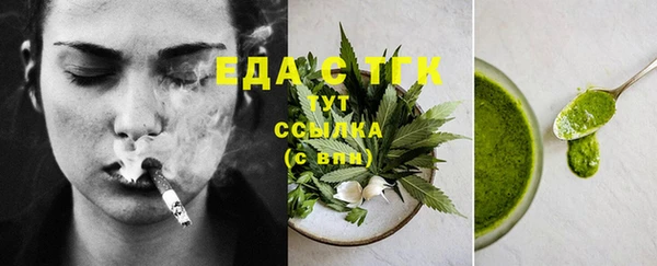 индика Каменка
