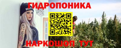 Альфа ПВП Жуковский