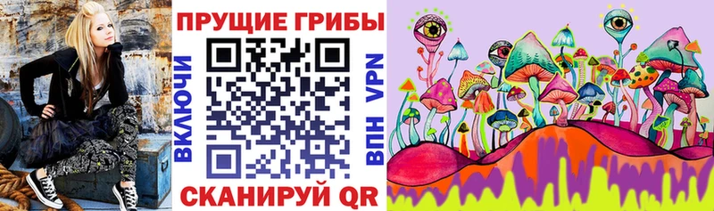 Галлюциногенные грибы ЛСД купить закладку Каменка