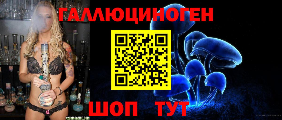Галлюциногенные грибы ЛСД Каменка